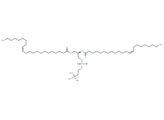 1,2-Dierucoyl-sn-glycero-3-PC,1,2-Dierucoyl-sn-glycero-3-PC