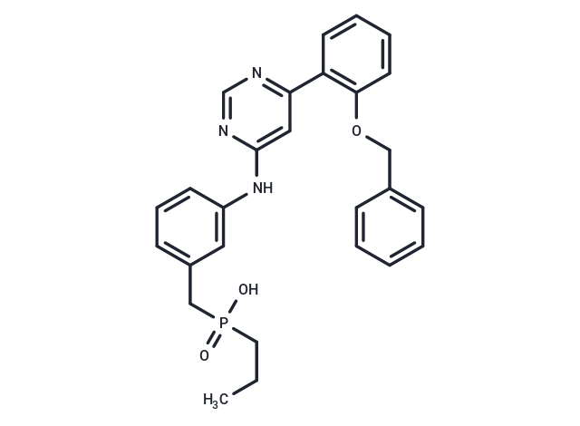 化合物 CDK9/CycT1-IN-93,CDK9/CycT1-IN-93