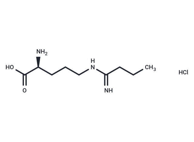 化合物 Ethyl-L-NIO (hydrochloride),Ethyl-L-NIO (hydrochloride)