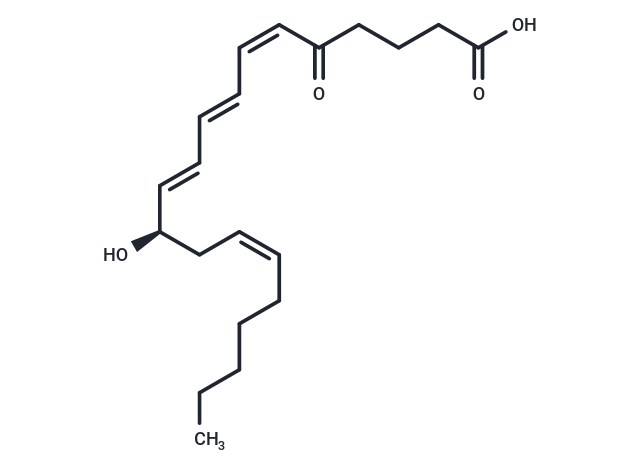 化合物 5-oxo Leukotriene B4,5-oxo Leukotriene B4