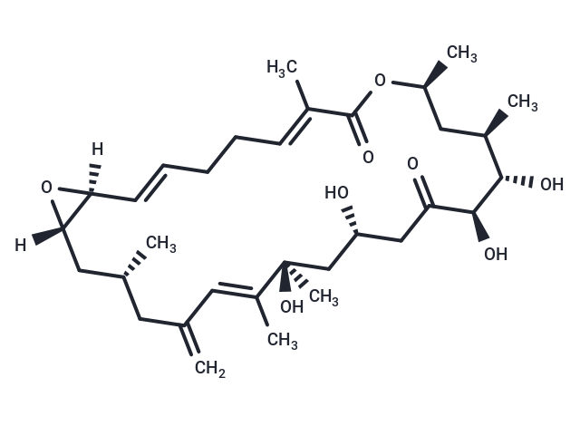 化合物 Amphidinolide D,Amphidinolide D