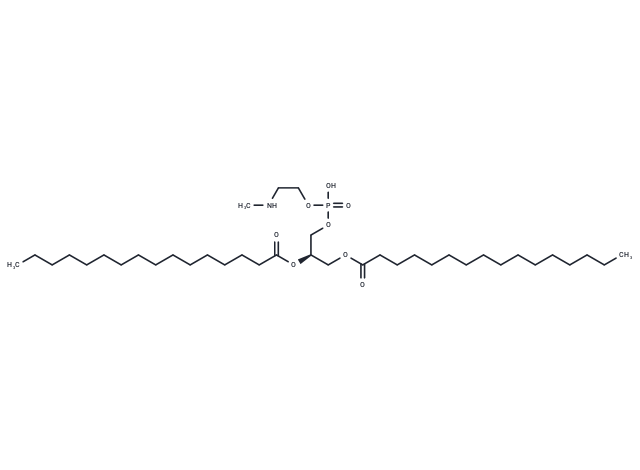 化合物 1,2-Dipalmitoyl-sn-glycero-3-N-methyl-PE,1,2-Dipalmitoyl-sn-glycero-3-N-methyl-PE