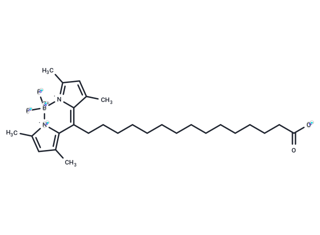 化合物 BODIPY-Palmitate,BODIPY-Palmitate