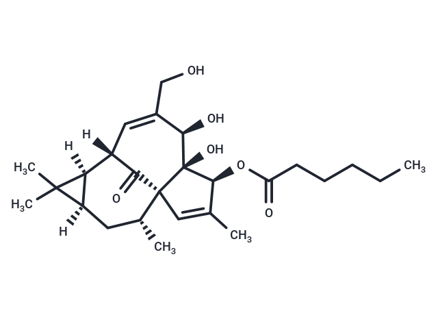 化合物 Ingenol 3-Hexanoate,Ingenol 3-Hexanoate