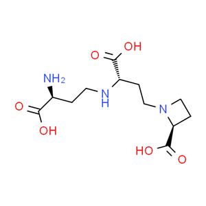 三磷酸腺苷二钠（ATP）