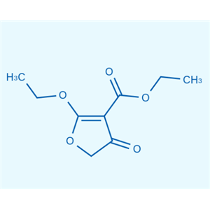 2-乙氧基-4-氧代-4,5-二氫呋喃-3-羧酸乙酯,2-ethoxy-4-oxo-4,5-dihydrofuran-3-carboxylate ethyl ester