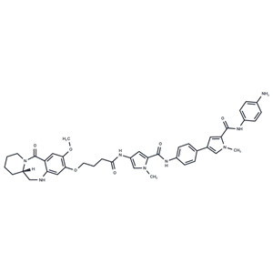 化合物 Aniline-MPB-amino-C3-PBD|T10326|TargetMol