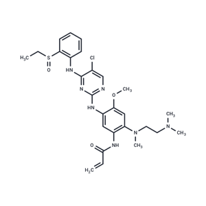 化合物 ALK/EGFR-IN-1|T79392|TargetMol