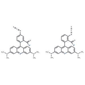 四甲基羅丹明-5(6)-異硫氰酸（混合物）,5(6)-TRITC [Tetramethylrhodamine-5-(and-6)-isothiocyanate] *Mixed isomers*