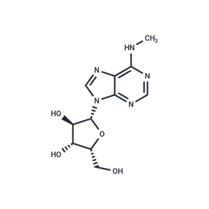 化合物 N6-Methyl-xylo-adenosine|TNU0519|TargetMol