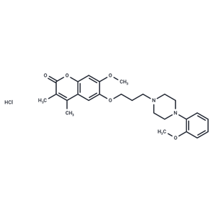 化合物 Ensaculin HCl|T27269|TargetMol