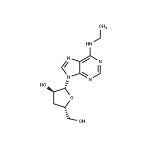 化合物 3’-Deoxy-N6-ethyladenosine|TNU1555|TargetMol