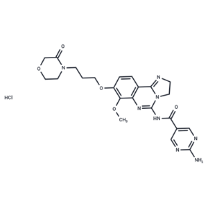 PI3K-IN-19 hydrochloride|T39581|TargetMol