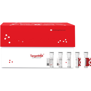 IL-1RAP/IL-1RAcP, Human, 重组蛋白 (aa 21-359, His & Avi), Biotinylated|TMPK-00331|TargetMol