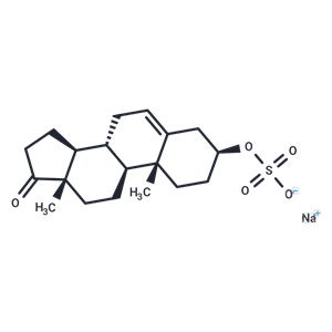 化合物 Dehydroepiandrosterone sulfate sodium salt|T41329|TargetMol