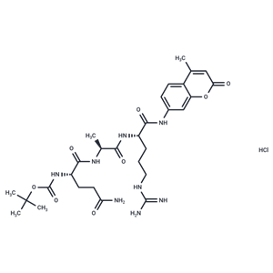 Boc-Gln-Ala-Arg-AMC鹽酸鹽|T74040|TargetMol