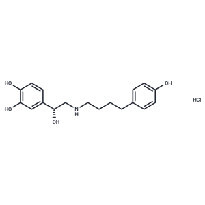 化合物 Arbutamine hydrochloride|T30119|TargetMol