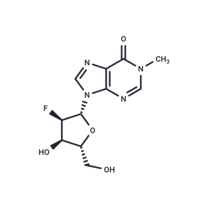 化合物 2’-Deoxy-2’-fluoro-N1-methyl ? inosine|TNU0548|TargetMol