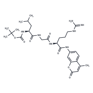 化合物 Boc-Leu-Gly-Arg-AMC,Boc-Leu-Gly-Arg-AMC
