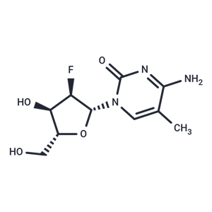 化合物 2’-Deoxy-2’-fluoro-5-methylcytidine|TNU0211|TargetMol