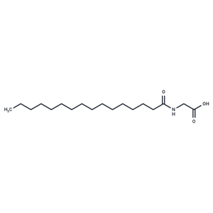 N-Palmitoyl Glycine|T37219|TargetMol