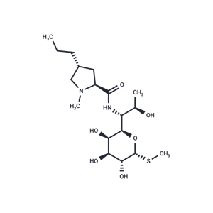 化合物 Lincomycin,Lincomycin