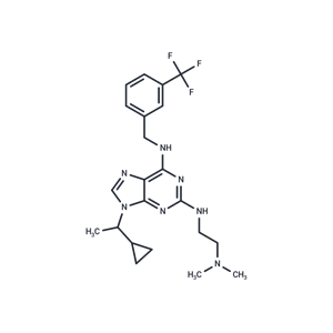 化合物 NCC007|T7949|TargetMol