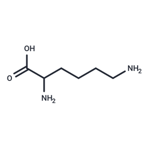 化合物 DL-Lysine|T19290|TargetMol