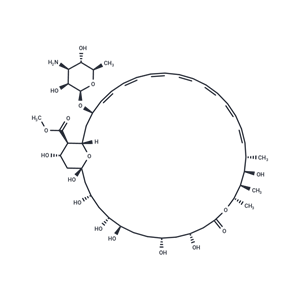 化合物 Amphotericin B methyl ester|T10310|TargetMol