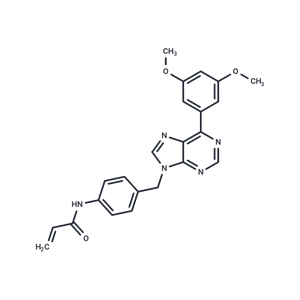 化合物 FGFR-IN-13|T86425|TargetMol