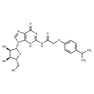 化合物 N2-(Isopropylphenoxyacetyl)guanosine|TNU0934|TargetMol