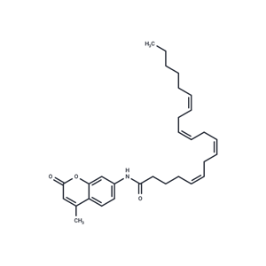 化合物 AMC Arachidonoyl Amide|T84550|TargetMol