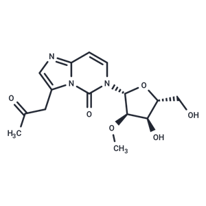 化合物 6-(2-O-Methyl-beta-D-ribofuranosyl)-3-(2-oxo-propyl)-6H-imidazo[1,2-c]pyrimidin-5-one,6-(2-O-Methyl-beta-D-ribofuranosyl)-3-(2-oxo-propyl)-6H-imidazo[1,2-c]pyrimidin-5-one