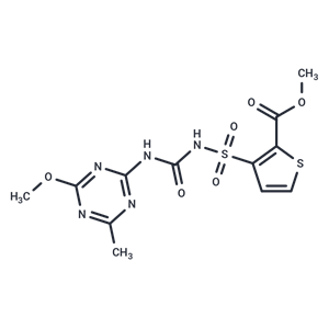 噻吩磺隆,Thifensulfuron-methyl