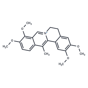 脫氫紫堇堿|T5S2358