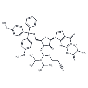 化合物 N2-iso-Butyroyl-5’-O-(4,4’-dimethoxytrityl)-2’-deoxy- fluoro-2’-arabinoguanosine-3’-CED-phosphoramidite|TNU1422|TargetMol