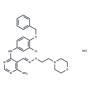 化合物 JNJ28871063 hydrochloride|T22881|TargetMol