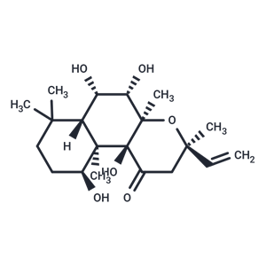 Deacetylforskolin|T36720|TargetMol