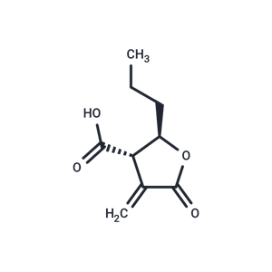 丁內(nèi)酯 3|T14839|TargetMol