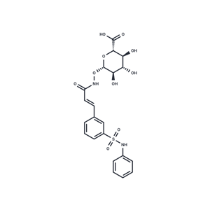 化合物 Belinostat Glucuronide|T70560|TargetMol