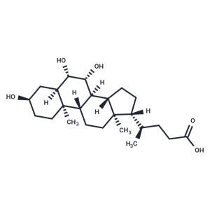 β-Muricholic Acid|T35400|TargetMol