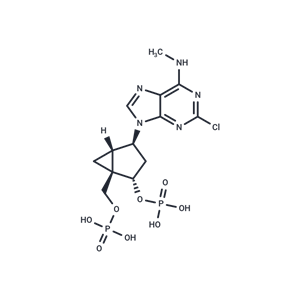 化合物 MRS2279|T23021|TargetMol