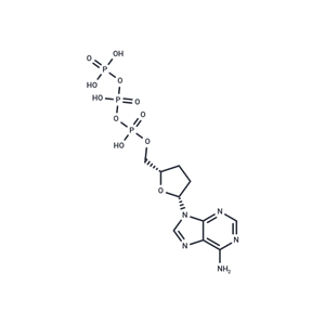 化合物 ddATP|T10982|TargetMol