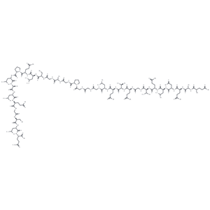 化合物 Proinsulin C-peptide (human),Proinsulin C-peptide (human)