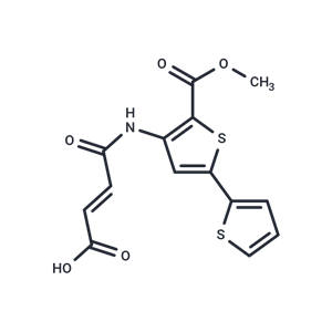 化合物 HTS01037|T15506|TargetMol