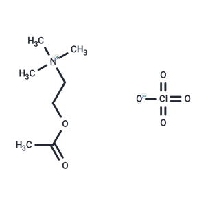 化合物 Acetylcholine perchlorate|T20522|TargetMol