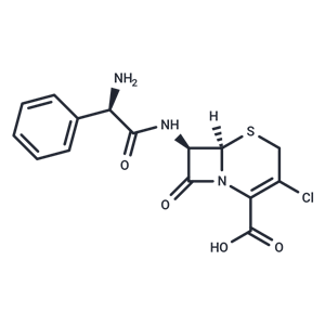 頭孢克洛,Cefaclor