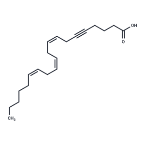 5,6-dehydro Arachidonic Acid|T38067|TargetMol