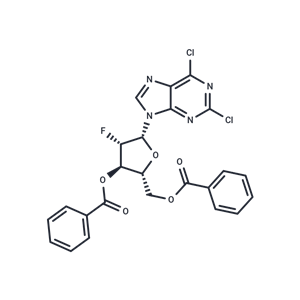 化合物 2,6-Dichloropurine -9-beta-D-(2’-deoxy-3’,5’-di-O-benzoyl-2’-fluoro)arabinoriboside|TNU0750|TargetMol