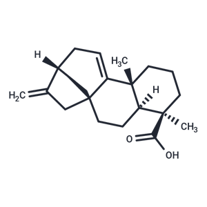 化合物 Grandiflorenic acid|T20217|TargetMol